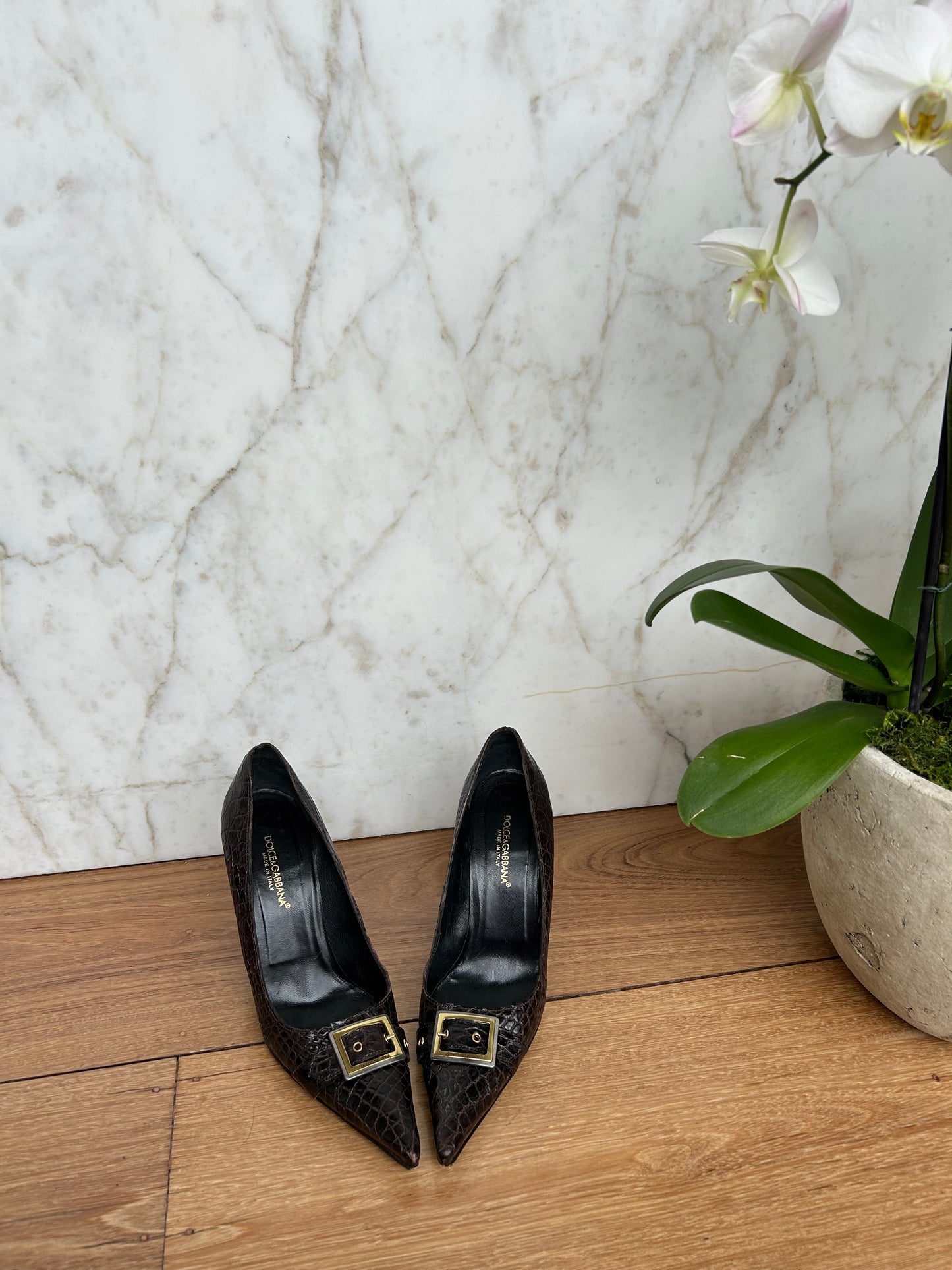 Dolce & Gabbana Animal Print Pumps
