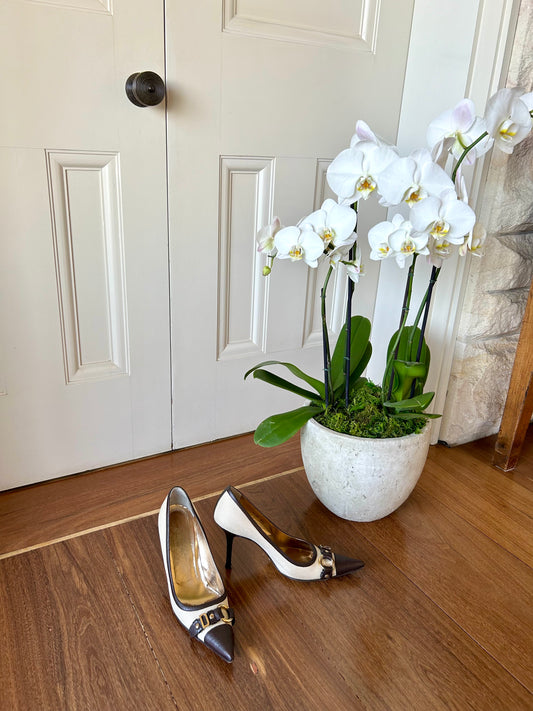 Dolce & Gabbana Canvas Printed Pumps